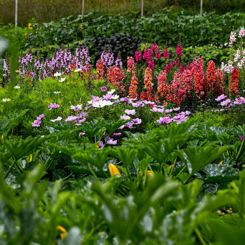 Blomsterhage kurs - torsdag 24. marts kl. 18-21.