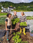 Kurs i økologisk grønsaksdyrkning - praktisk Søndag 12. mai 10 - 16